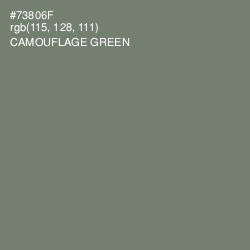 #73806F - Camouflage Green Color Image